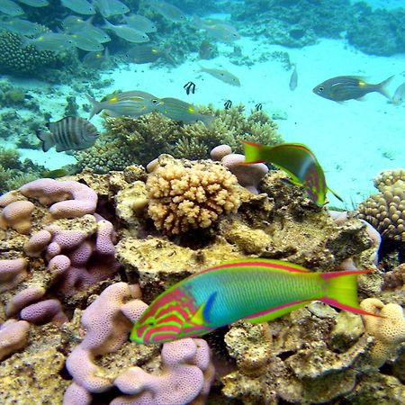 Sanctuary Rarotonga On The Beach (Adults Only) Exterior foto